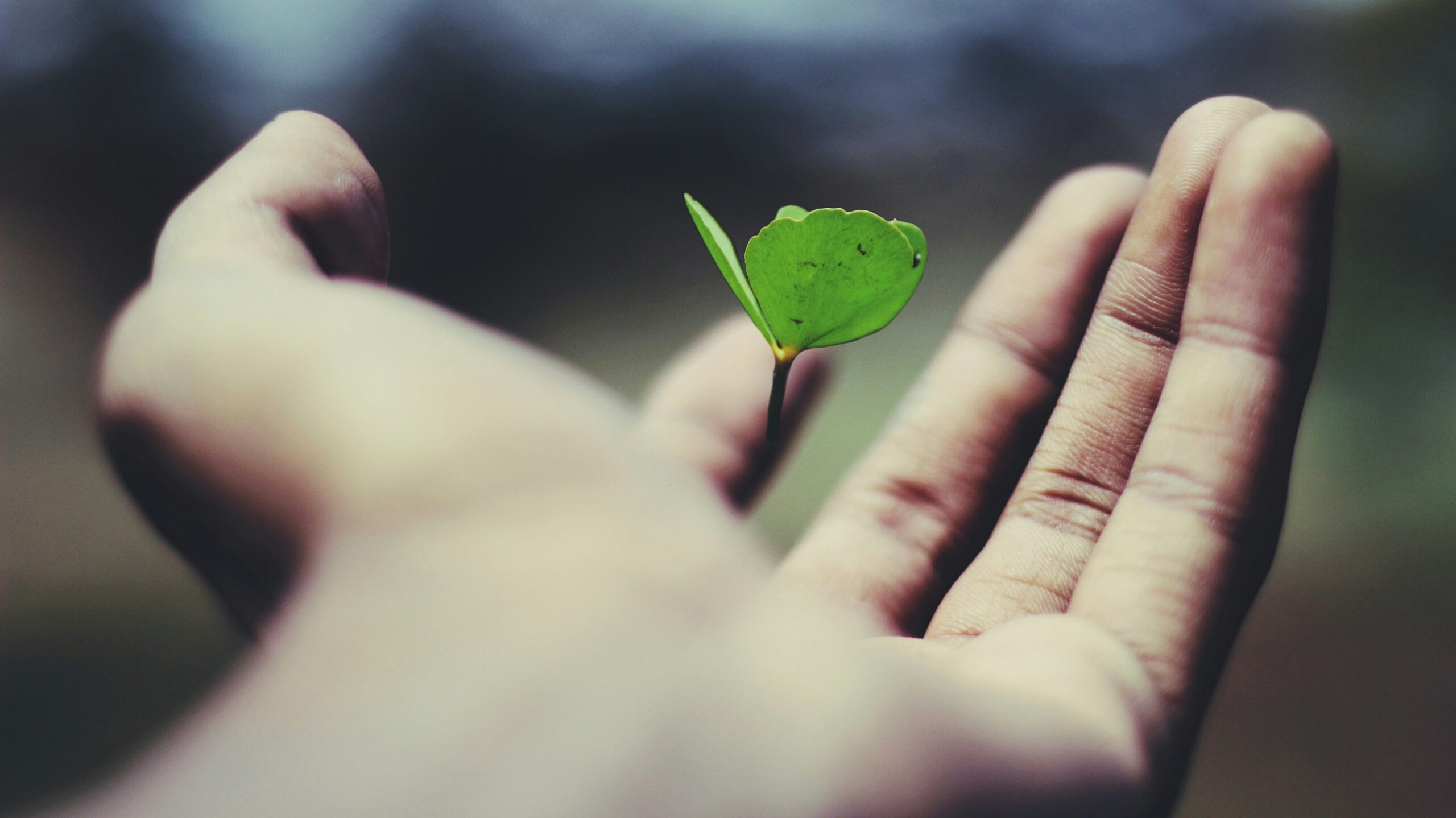 How We Can Partner with You for PPC Success